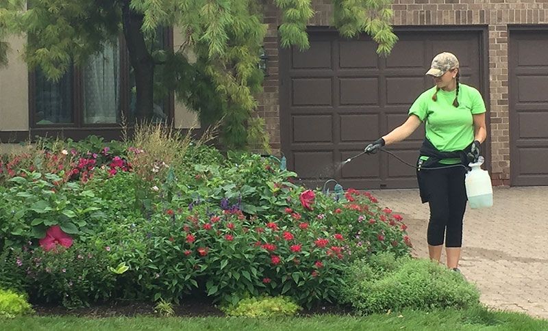 Yard Deodorizing Sprays